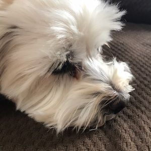 Meet your Posher, Jeffrey